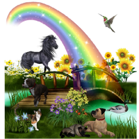 a rainbow bridge garden 